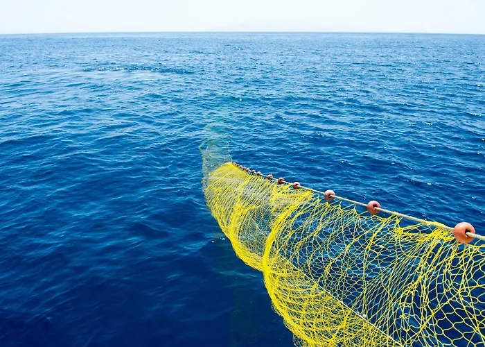 Cyclades Blue Lejlighedshotel Ornos (Mykonos)